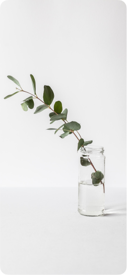 Фото дизайна 1