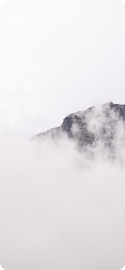 Фото дизайна 3