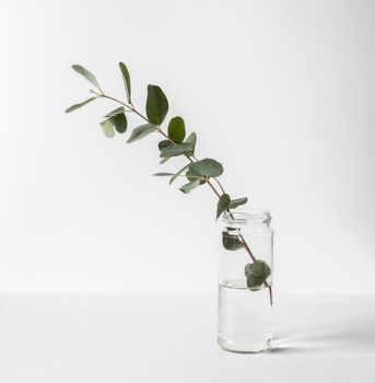 Фото проекта 1